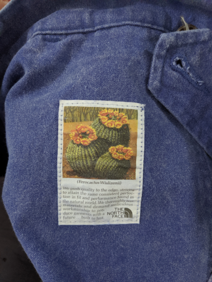 [L] The North Face Vintage Unisex Shorts